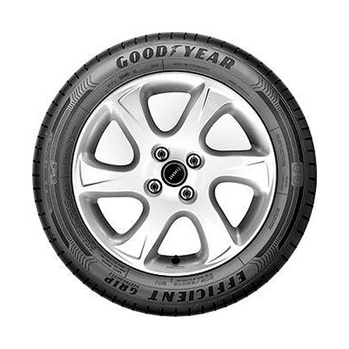 EFFICIENTGRIP PERFORMANCE 215/45 R20 95T