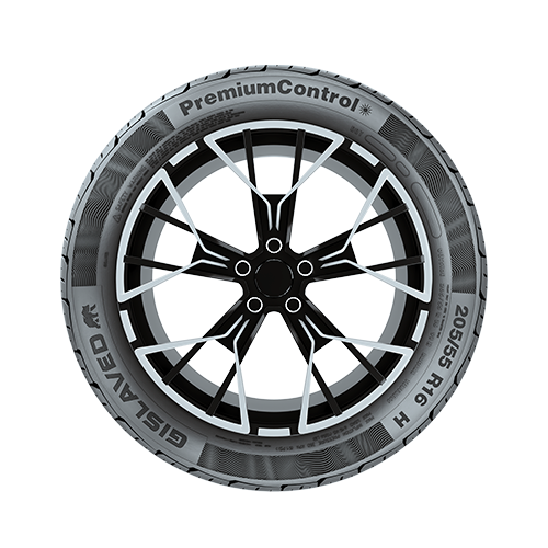 195/65R15 GISLAVED PremiumControl 91H