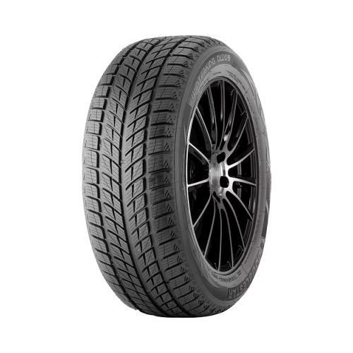 DW09 275/40 R20 106V