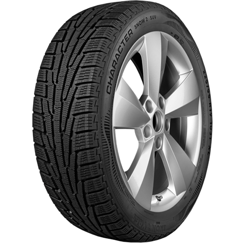 CHARACTER SNOW 2 (NORDMAN RS2) 205/60 R16 96R