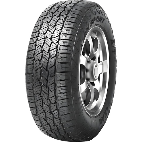 LION SPORT A/T100