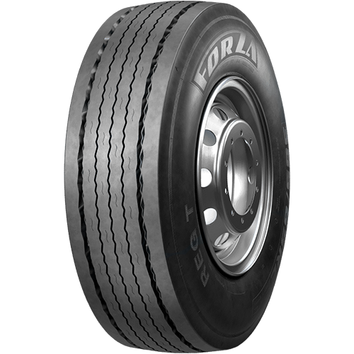 FORZA REG T